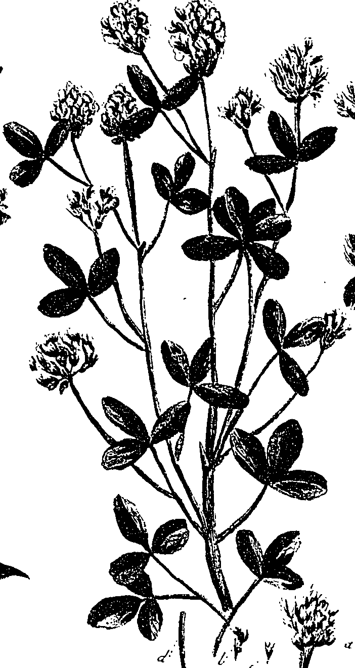 099/099330012200980_1.png