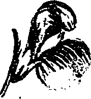099/099330012201000_0.png