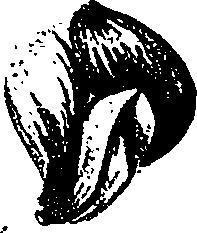 099/099330012201010_1.png