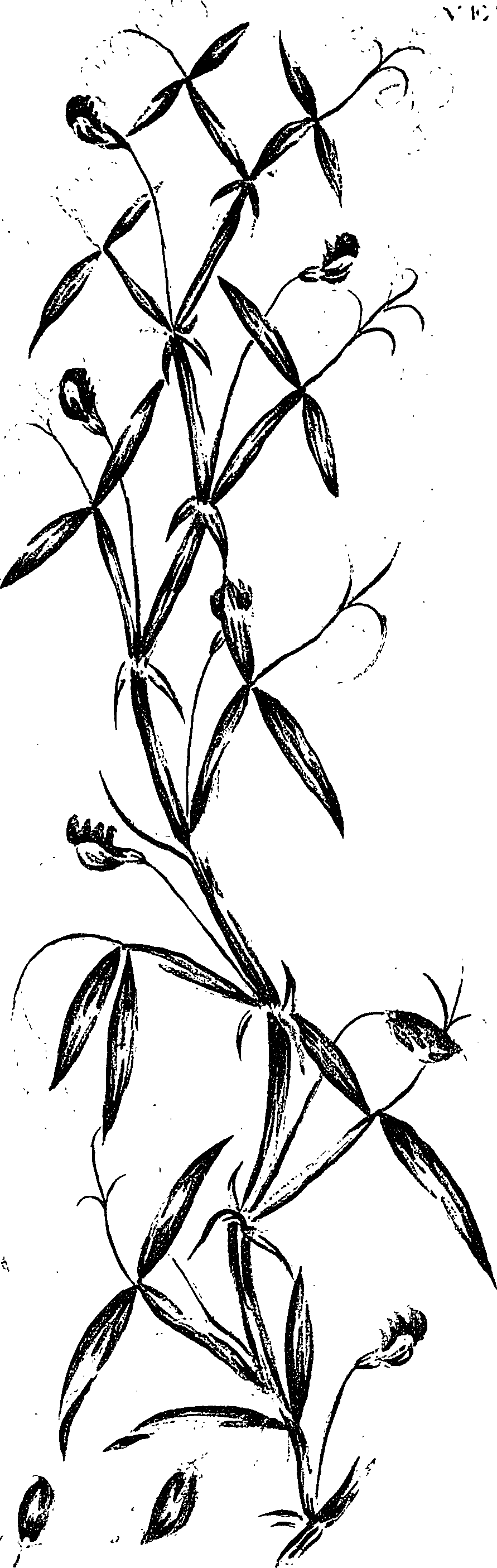 099/099330012201020_0.png