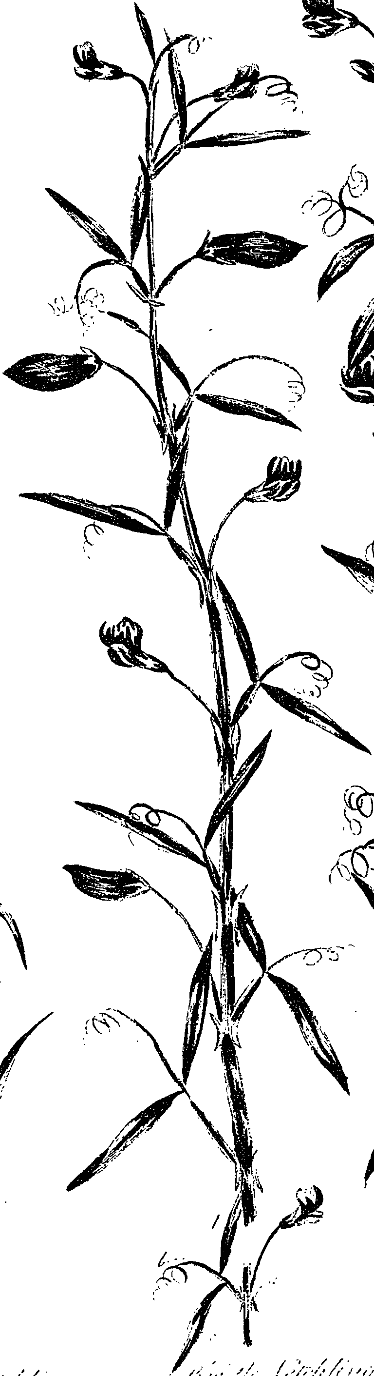 099/099330012201030_0.png