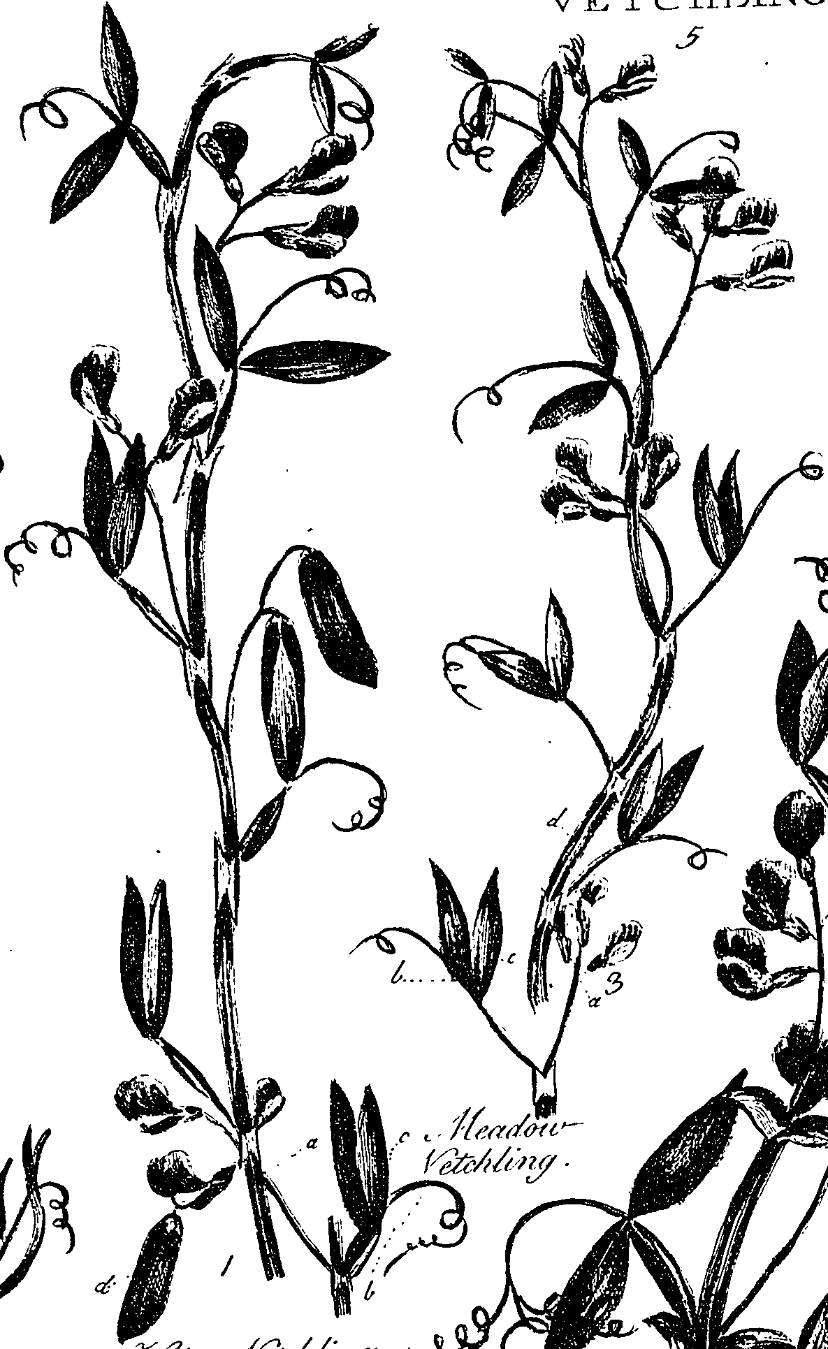 099/099330012201050_1.png