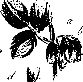 099/099330012201070_0.png