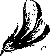 099/099330012201070_2.png