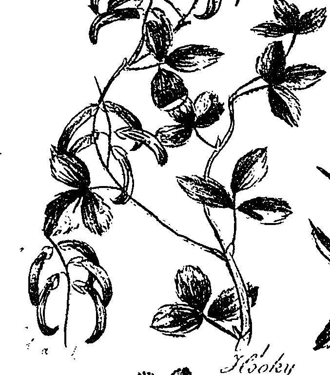 099/099330012201080_0.png