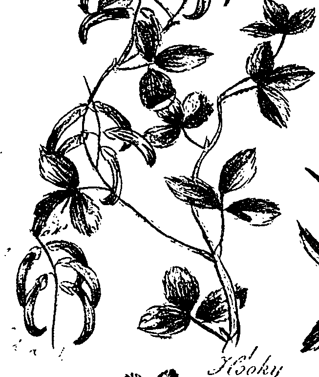 099/099330012201090_0.png