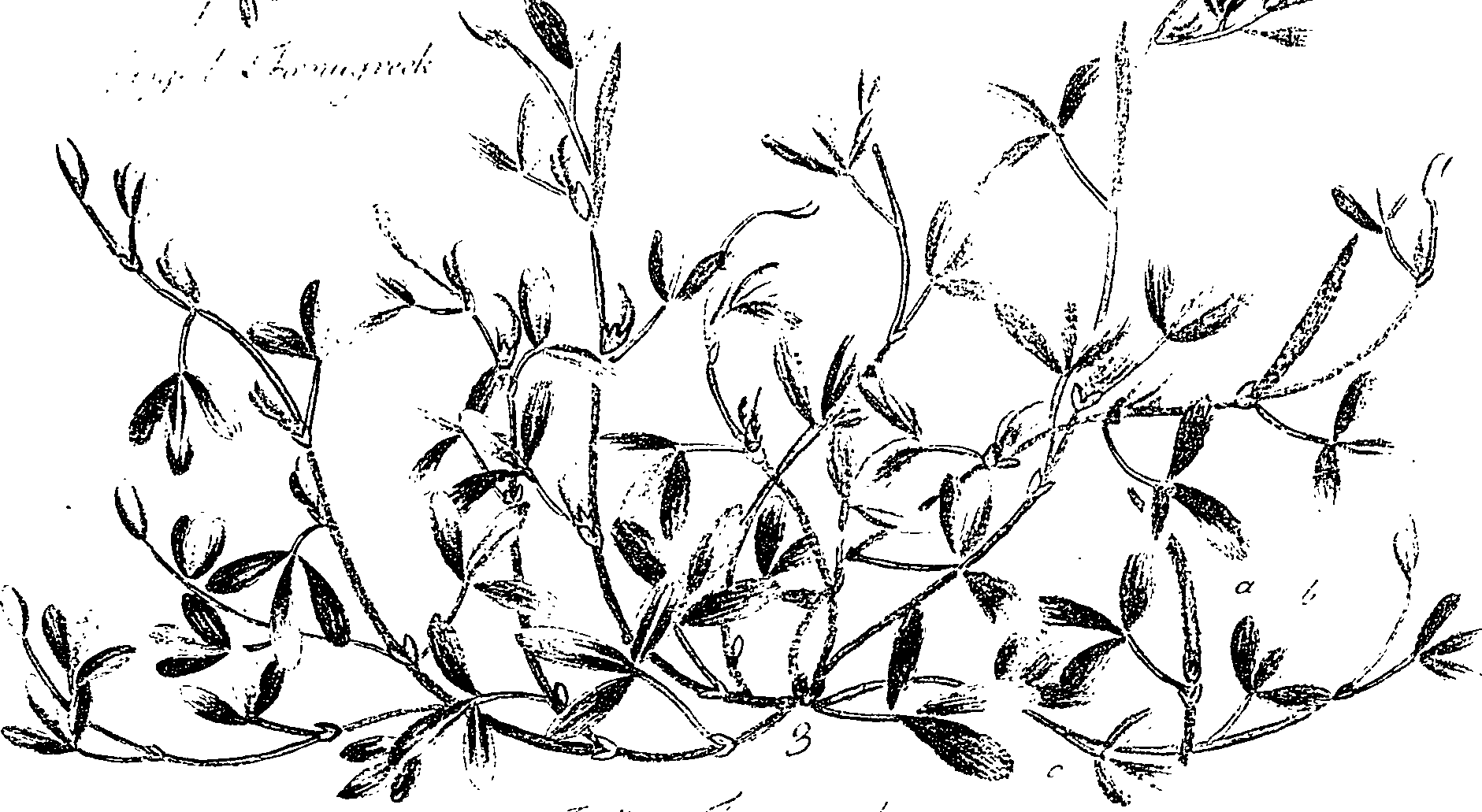 099/099330012201100_0.png