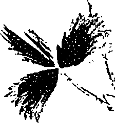 099/099330012201100_2.png