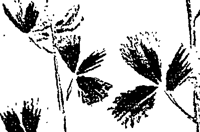 099/099330012201100_3.png