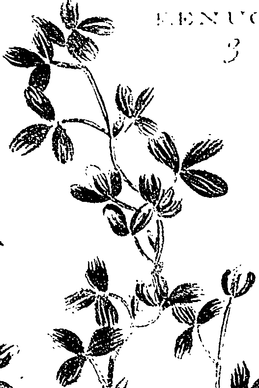 099/099330012201100_4.png