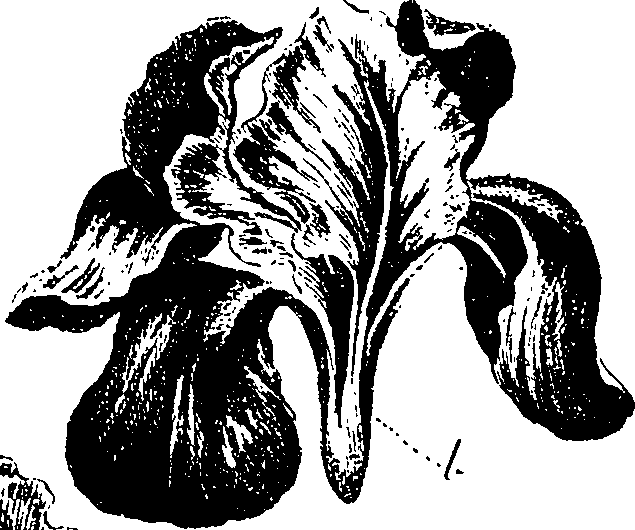 099/099330012300780_0.png