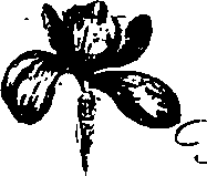 099/099330012300800_0.png
