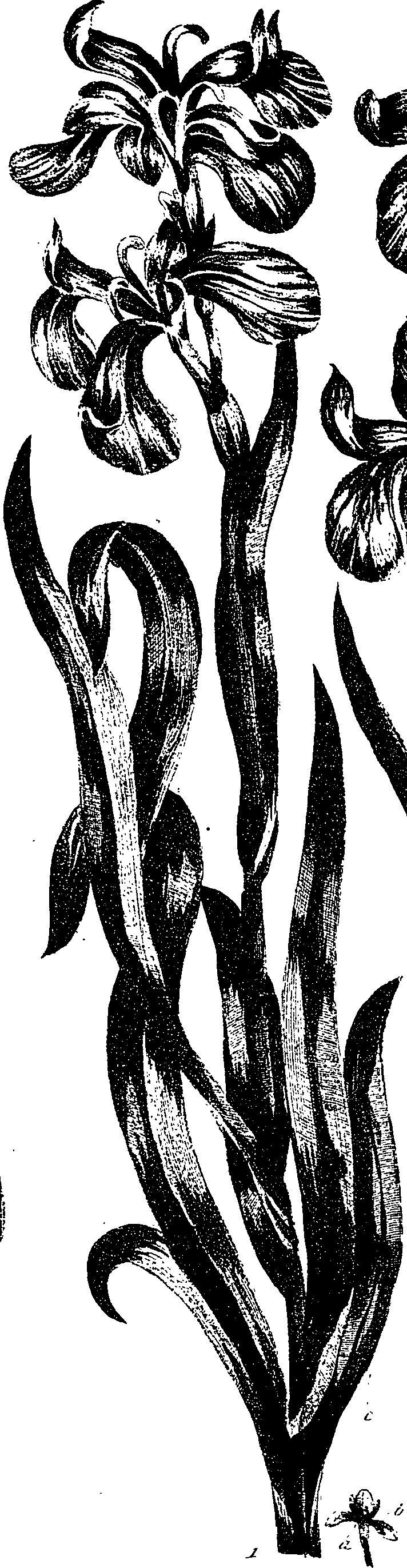 099/099330012300810_0.png