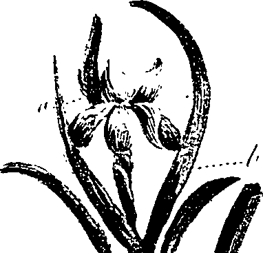 099/099330012300840_0.png