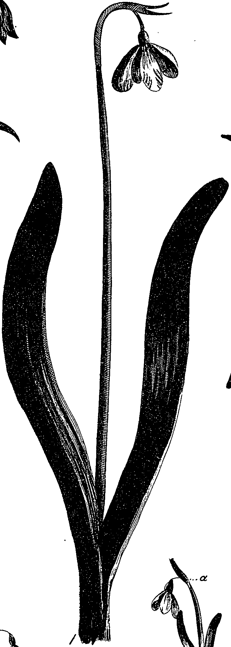 099/099330012300860_0.png