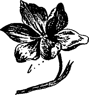 099/099330012300860_1.png