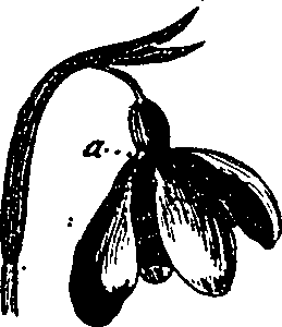 099/099330012300860_2.png