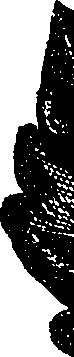 099/099330012300870_0.png