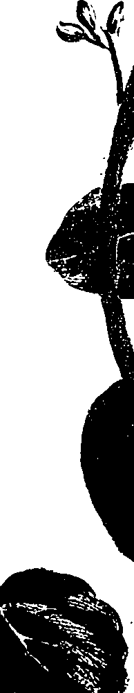 099/099330012300880_0.png