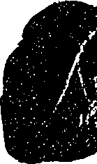 099/099330012300880_2.png