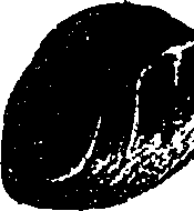 099/099330012300880_3.png