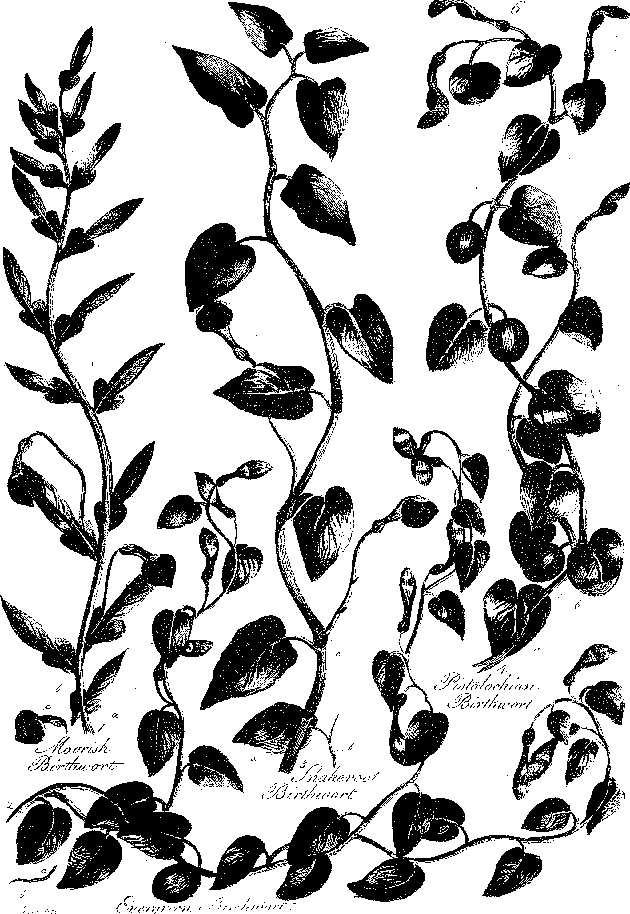 099/099330012300940_0.png