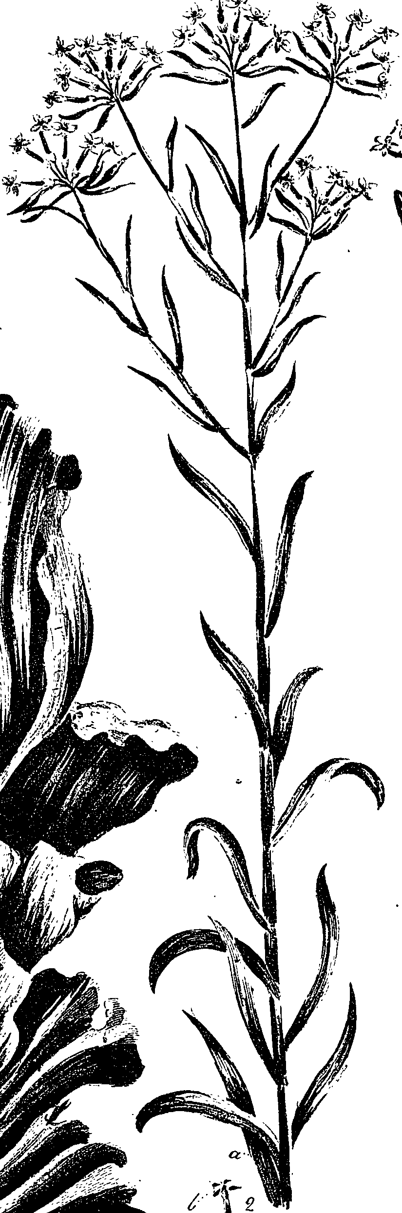 099/099330012300960_1.png