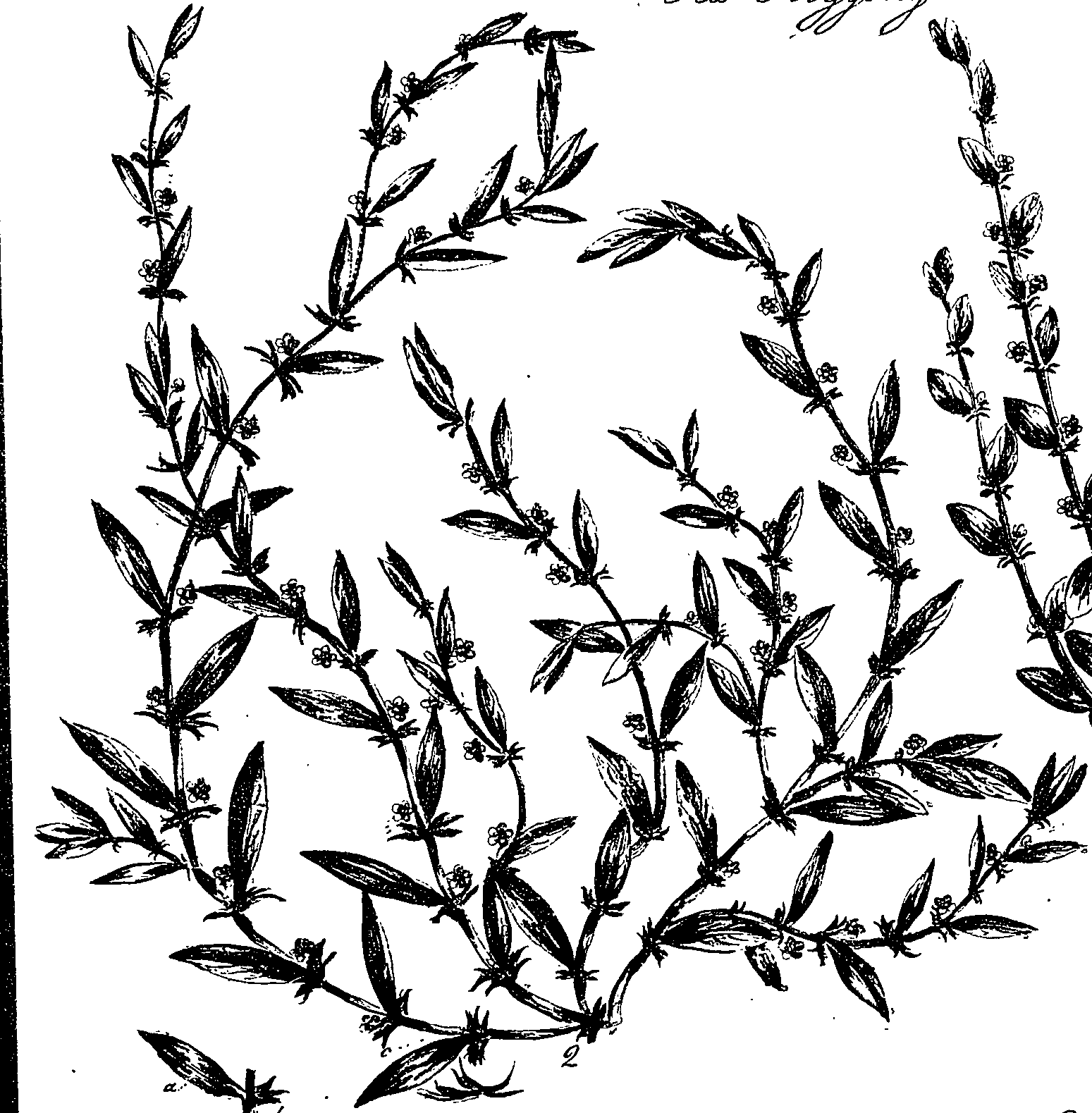 099/099330012301020_0.png