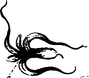 099/099330012301100_0.png