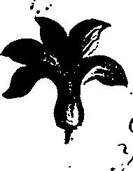 099/099330012301130_0.png