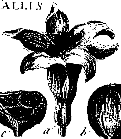099/099330012301220_0.png