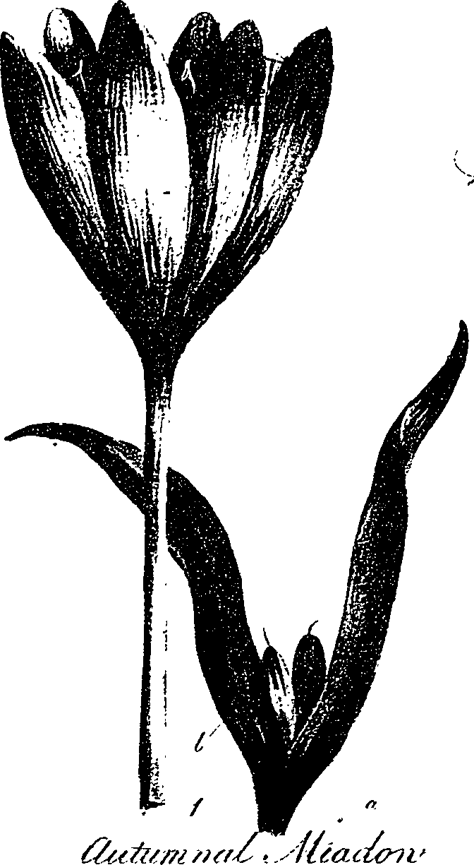 099/099330012301230_0.png