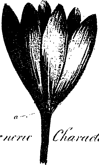 099/099330012301230_1.png