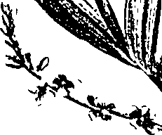 099/099330012400690_0.png