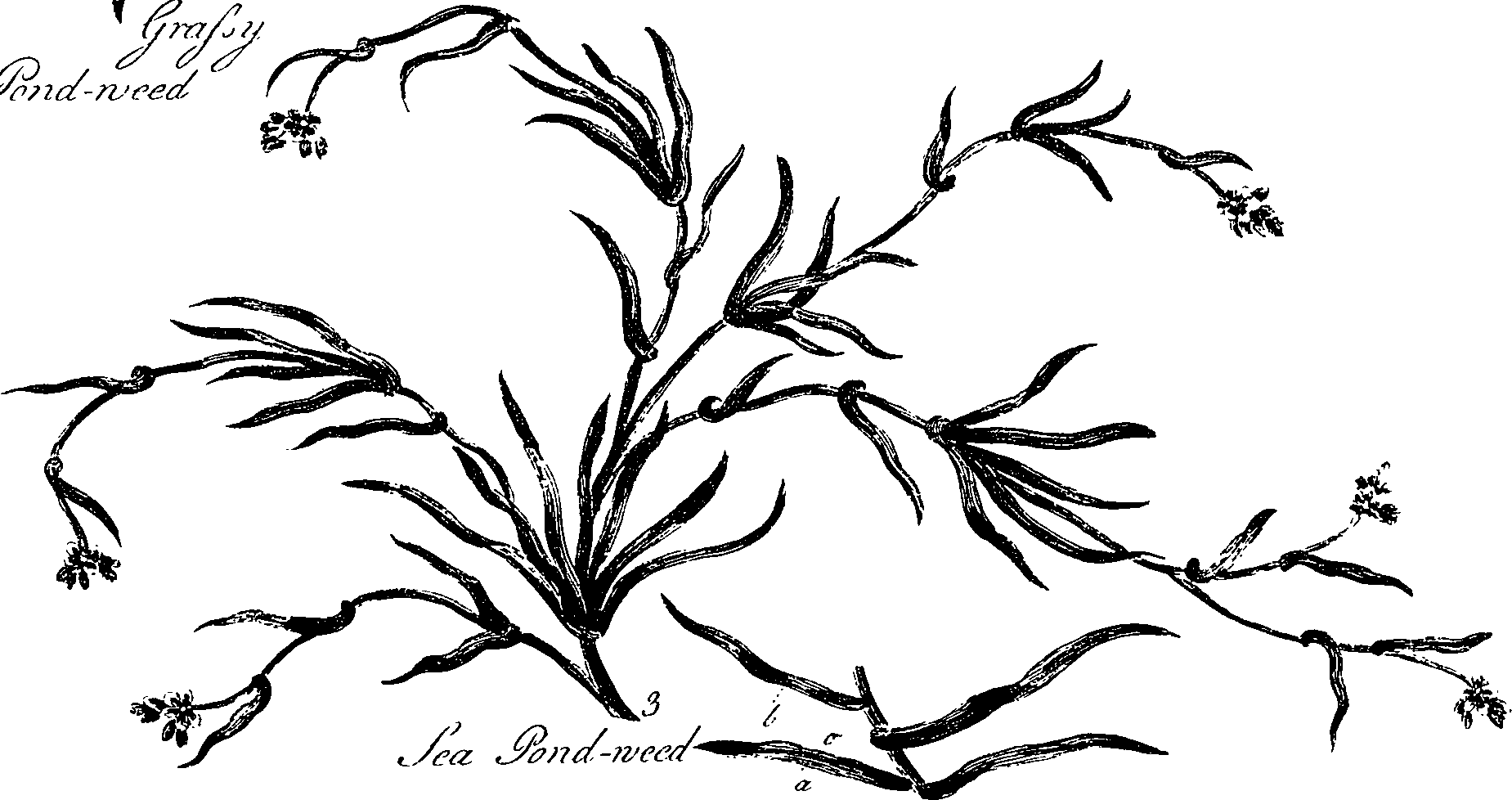 099/099330012400710_0.png