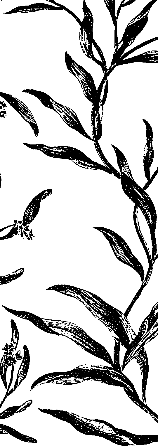 099/099330012400710_1.png