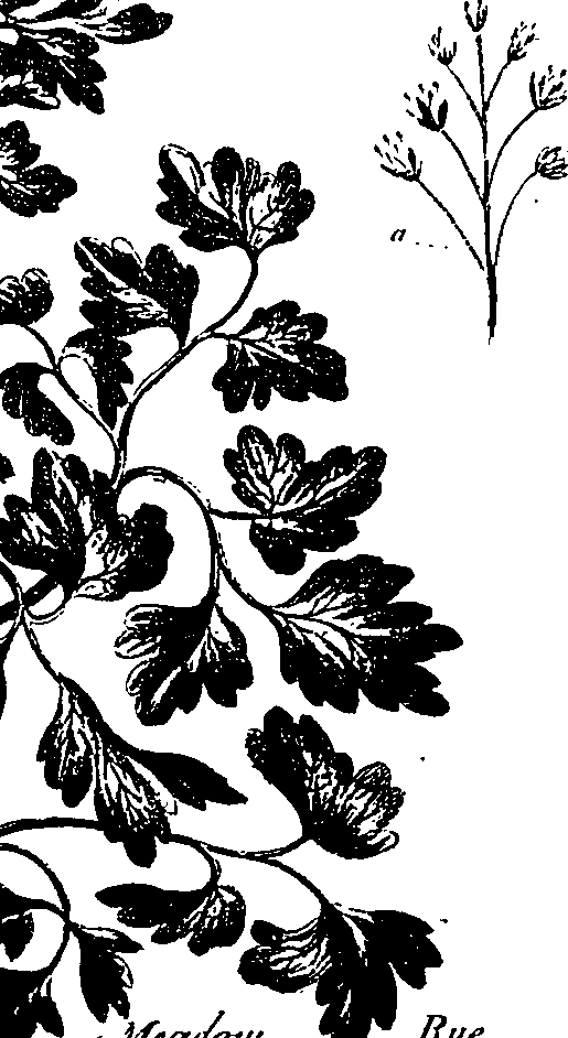 099/099330012400740_0.png