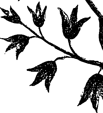 099/099330012400740_1.png