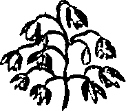 099/099330012400750_0.png