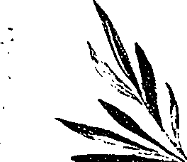 099/099330012400820_0.png