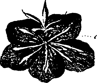 099/099330012400820_1.png