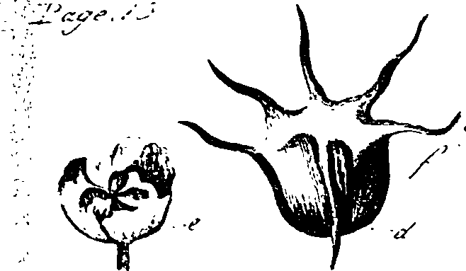 099/099330012400820_2.png
