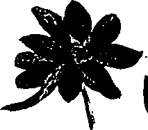 099/099330012400850_0.png
