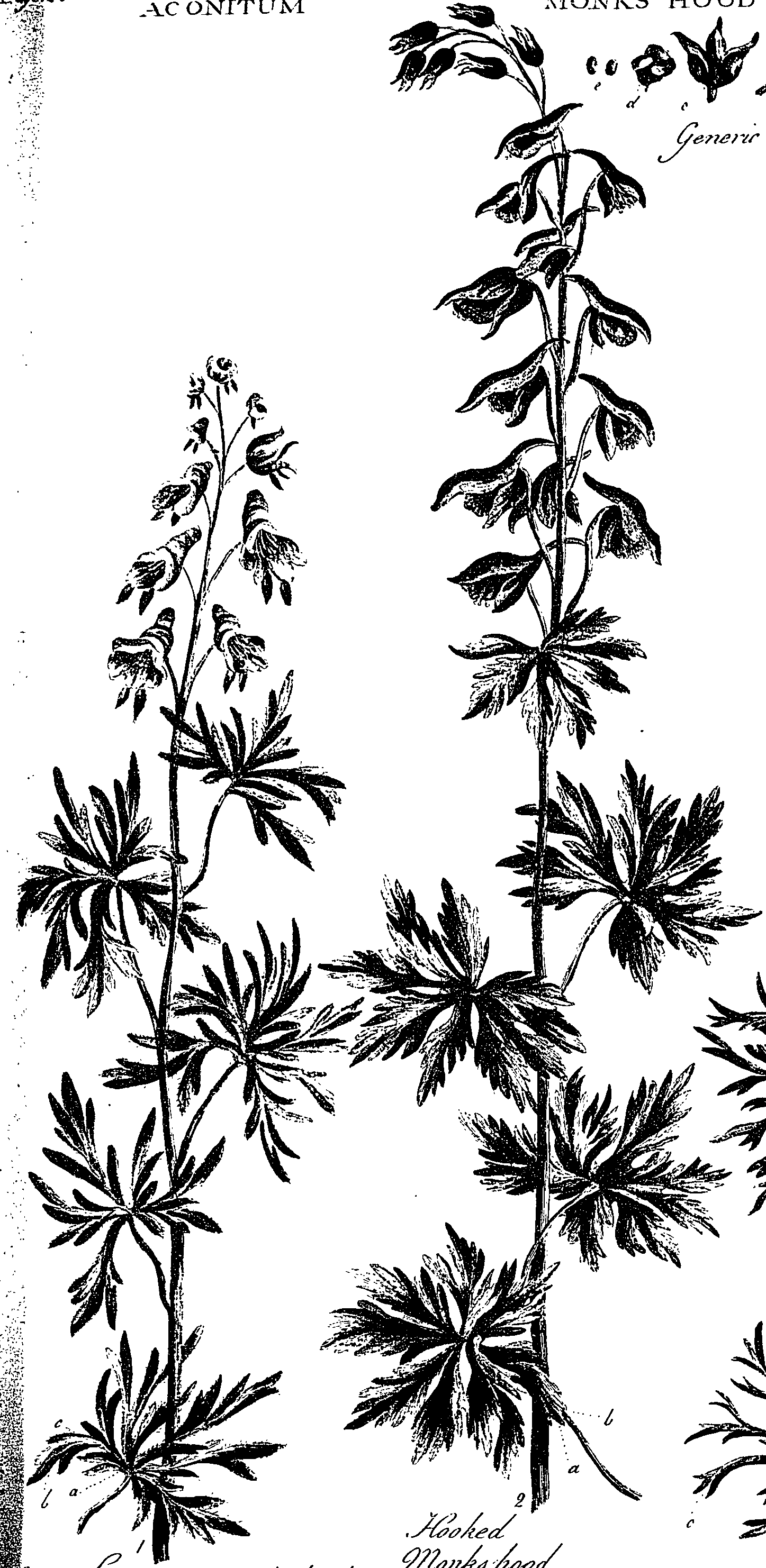 099/099330012400870_0.png