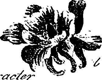 099/099330012400890_0.png