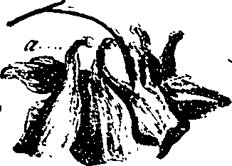 099/099330012400890_1.png