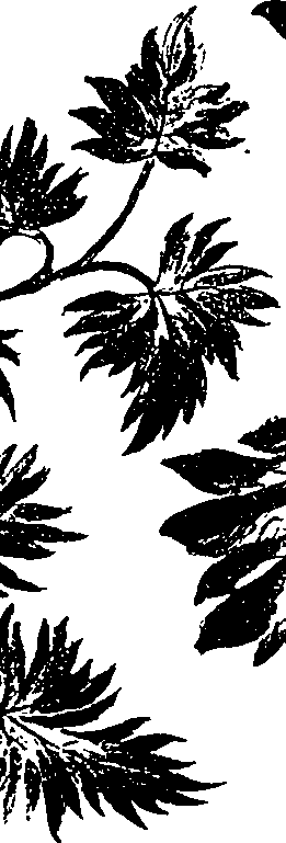 099/099330012400900_0.png