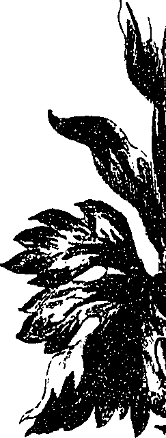 099/099330012400900_1.png