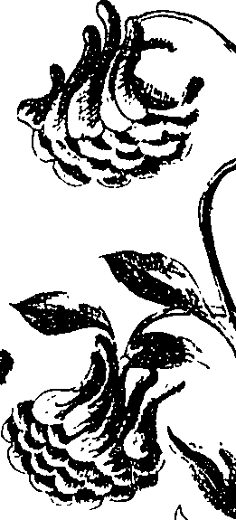 099/099330012400900_2.png