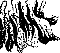 099/099330012400900_3.png